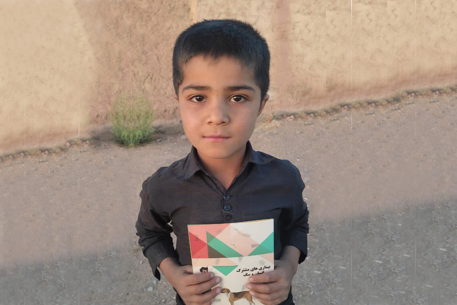 Awareness campaigns on dog-related zoonoses for children, clinicians and the public – Distribution of the pamphlets to communities