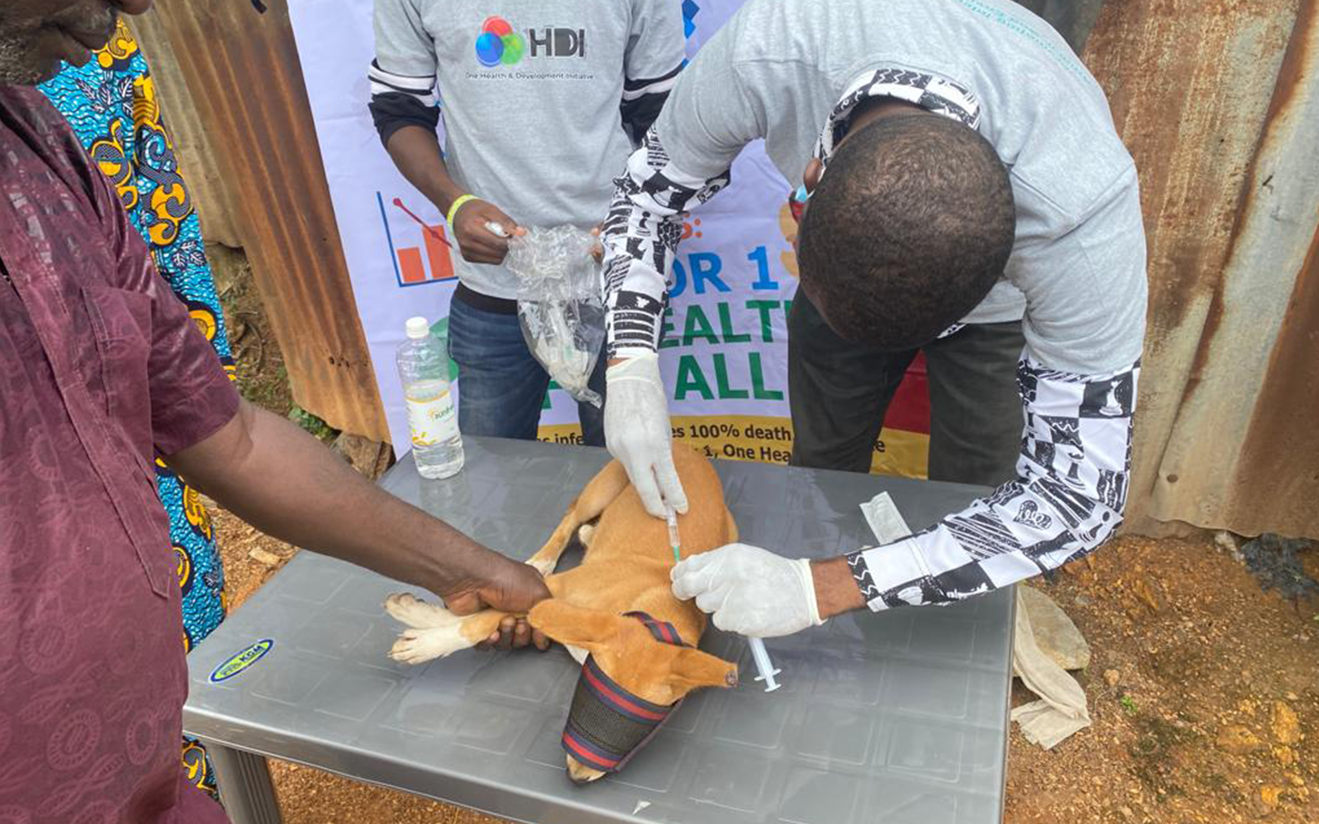 Rabies-Nigeria2 Dogs vaccination remains one of the best way to fight against rabies that mainly affects suburban and rural communities where prevention programs are limited.