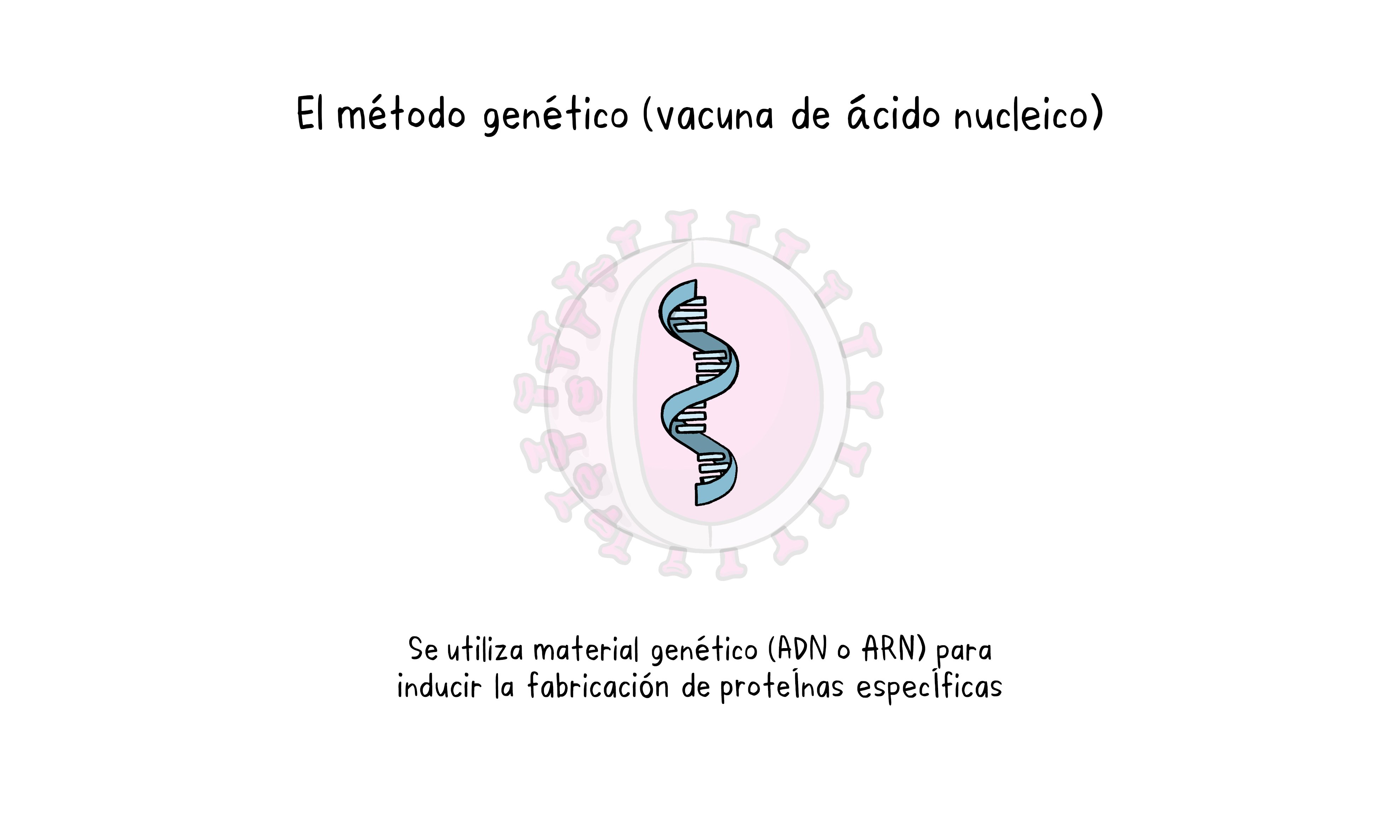 Vaccines Topics Four images working 04